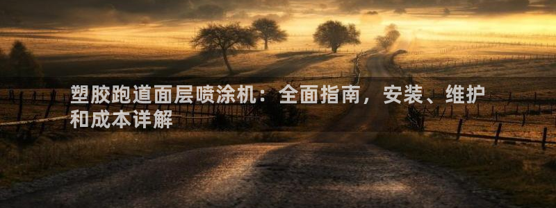 尊龙官网网页版：塑胶跑道面层喷涂机：全面指南，安装、维护
和成本详解