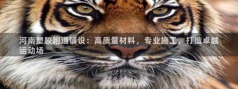 尊龙休闲e站怎么样：河南塑胶跑道铺设：高质量材料，专业施工，打造卓越
运动场