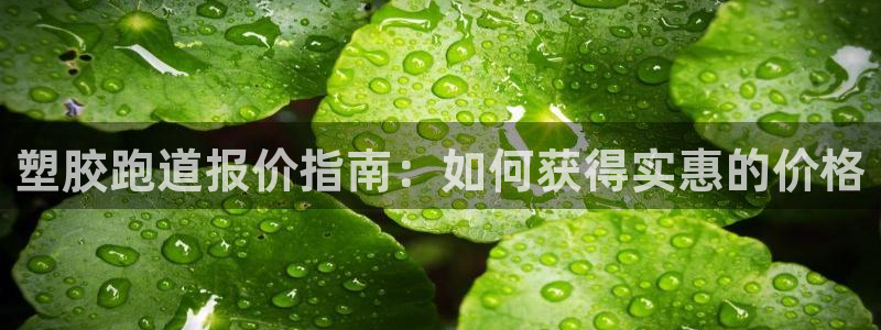 尊龙目前情况：塑胶跑道报价指南：如何获得实惠的价格