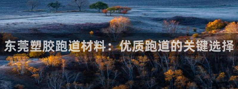 尊龙凯时一人生就是博官网