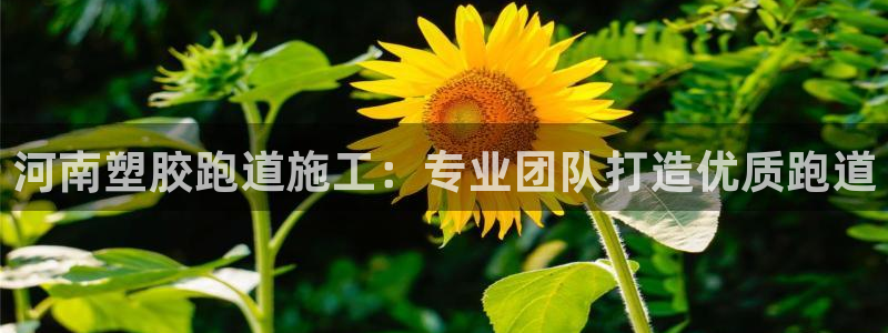 尊龙 am i blue：河南塑胶跑道施工：专业团队打造优质跑道