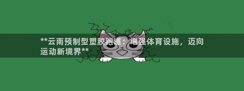 尊龙游戏中心：**云南预制型塑胶跑道：增强体育设施，迈向
运动新境界**