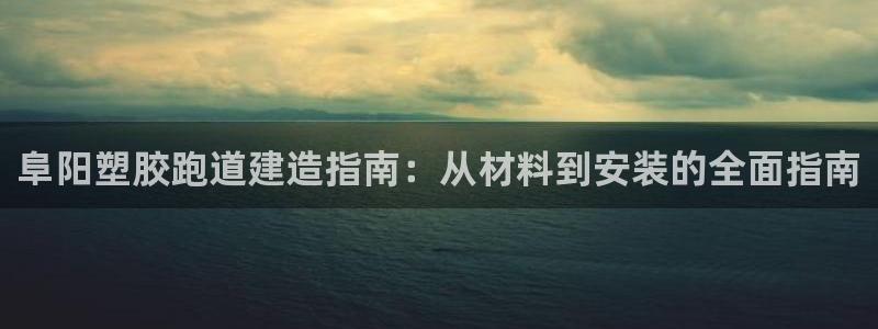 尊龙凯时人生就是搏客户：阜阳塑胶跑道建造指南：从材料到安装的全面指南