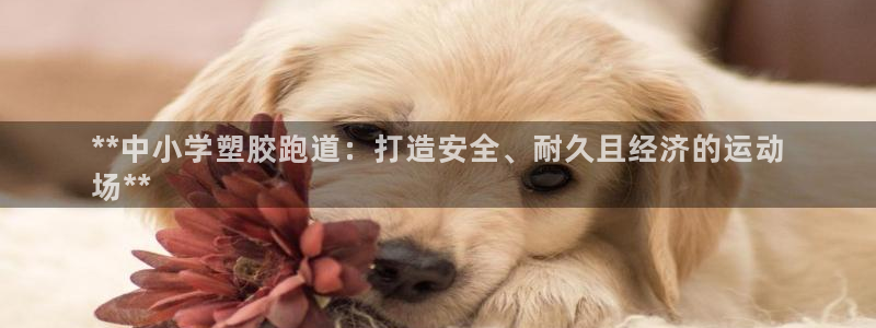 尊龙 6：**中小学塑胶跑道：打造安全、耐久且经济的