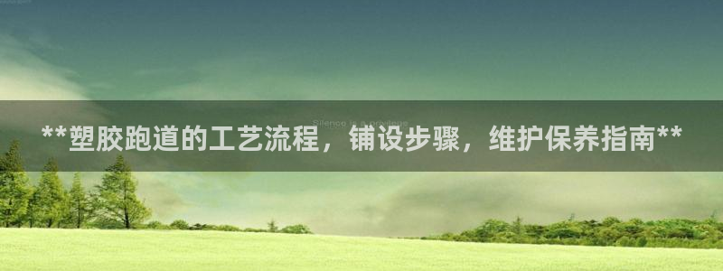 尊龙凯时网页版：**塑胶跑道的工艺流程，铺设步骤，维护保养指南**