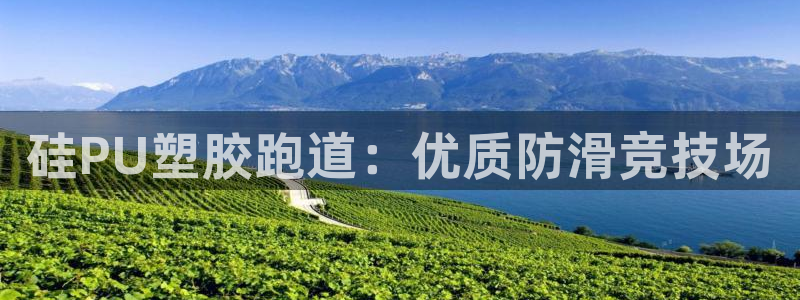 尊龙d88手机app免费下载：硅PU塑胶跑道：优质防