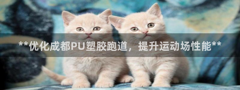 尊龙负面新闻：**优化成都PU塑胶跑道，提升运动场性