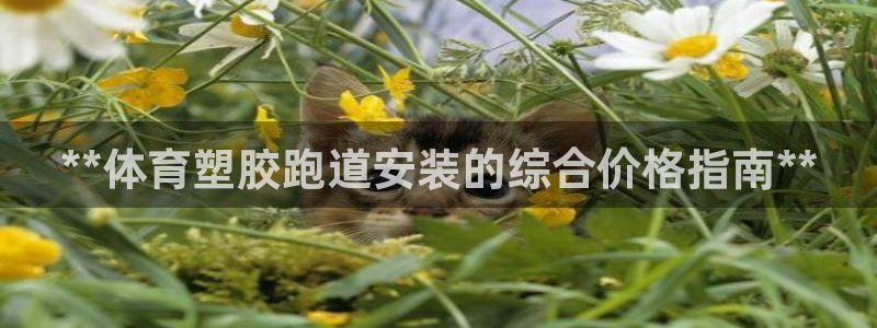 尊龙新版官网网页版：**体育塑胶跑道安装的综合价格指南**