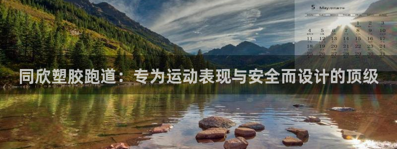 尊龙凯时论坛：同欣塑胶跑道：专为运动表现与安全而设计的顶级
