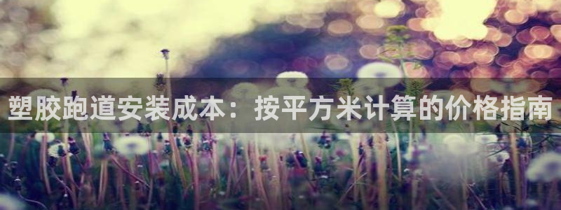 尊龙/人生就是博：塑胶跑道安装成本：按平方米计算的价格指南