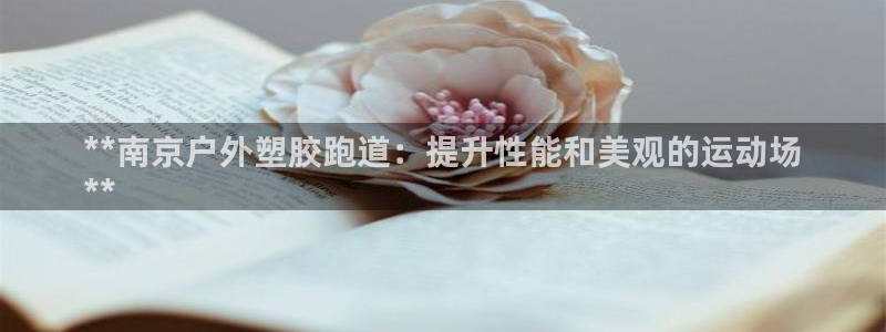 尊龙集团有限公司是国企吗：**南京户外塑胶跑道：提升性能和美观的运动场
**
