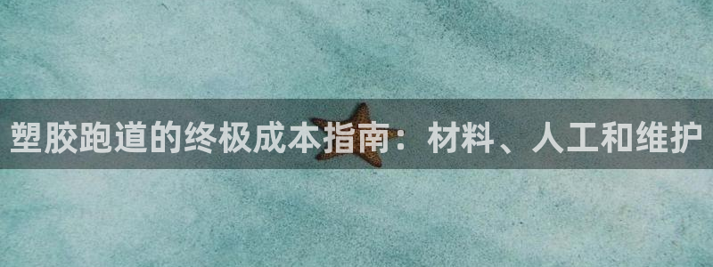 尊龙凯时怎么样没听说过：塑胶跑道的终极成本指南：材料、人工和维护