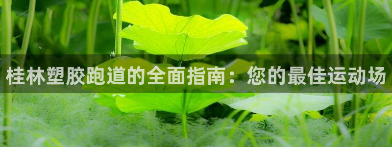尊龙凯时 人生就是搏!平台：桂林塑胶跑道的全面指南：您的最佳运动场