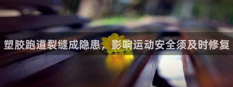 尊龙 am i blue：塑胶跑道裂缝成隐患，影响运动安全须及时修复