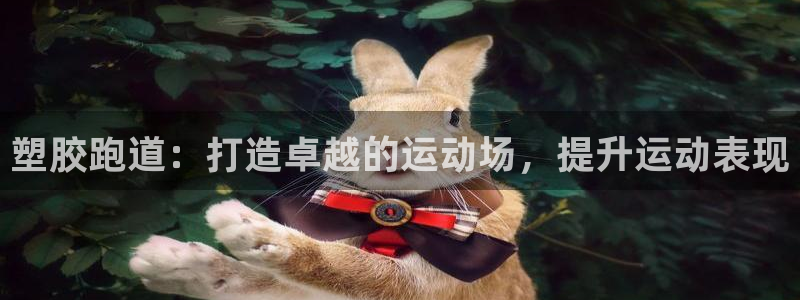 有人在凯时赢过钱吗：塑胶跑道：打造卓越的运动场，提升运动表现