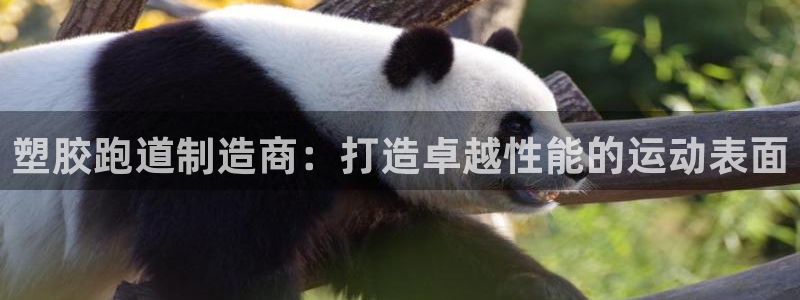 尊龙凯时ag旗舰厅官方网站：塑胶跑道制造商：打造卓越性能的运动表面