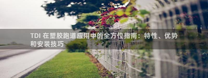 凯时K8国际：TDI 在塑胶跑道应用中的全方位指南：特性、优势
和安装技巧
