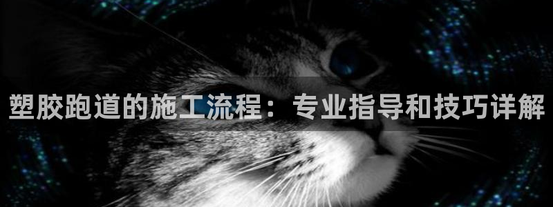 尊龙手机官方客户端下载：塑胶跑道的施工流程：专业指导