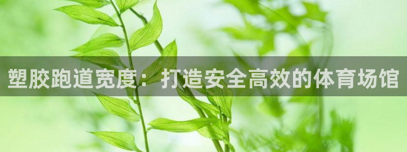 尊龙凯时官网版登录：塑胶跑道宽度：打造安全高效的体育场馆