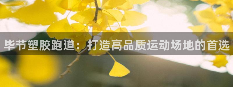 尊龙,人生就是搏：毕节塑胶跑道：打造高品质运动场地的