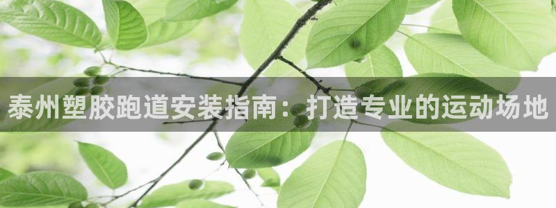 尊龙app认可ag发财网：泰州塑胶跑道安装指南：打造专业的运动场地