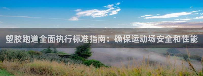 尊龙集团有限公司是国企吗：塑胶跑道全面执行标准指南：