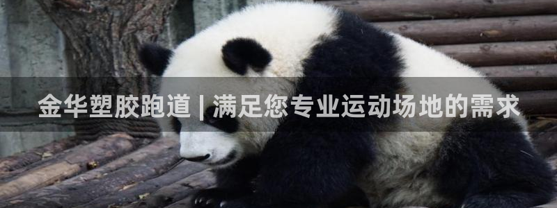 尊龙人生就是博现金：金华塑胶跑道 | 满足您专业运动