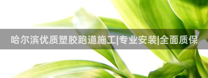 尊龙AG旗舰厅官网：哈尔滨优质塑胶跑道施工|专业安装|全面质保