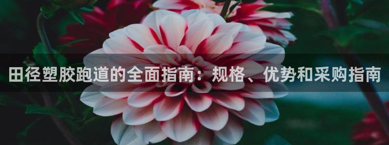 尊龙凯时登陆网址：田径塑胶跑道的全面指南：规格、优势