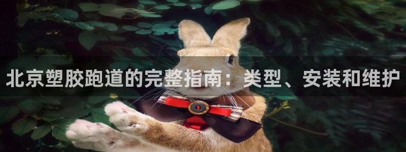 尊龙官网手机版下载：北京塑胶跑道的完整指南：类型、安