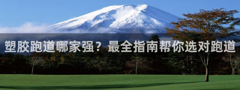 凯时官网下载客户端：塑胶跑道哪家强？最全指南帮你选对跑道
