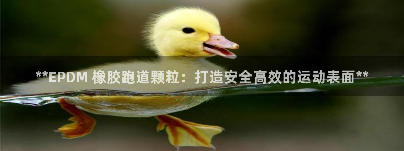 尊龙凯时防屏蔽网址：**EPDM 橡胶跑道颗粒：打造
