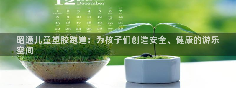 尊龙ag：昭通儿童塑胶跑道：为孩子们创造安全、健康的游乐
空间