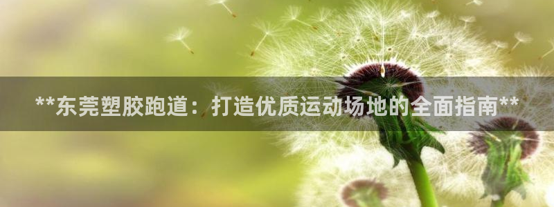 尊龙凯时注册地址：**东莞塑胶跑道：打造优质运动场地