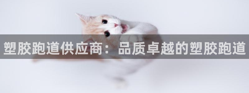 尊龙官网网页版：塑胶跑道供应商：品质卓越的塑胶跑道
