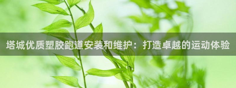 尊龙手机客户端下载APP：塔城优质塑胶跑道安装和维护：打造卓越的运动体验