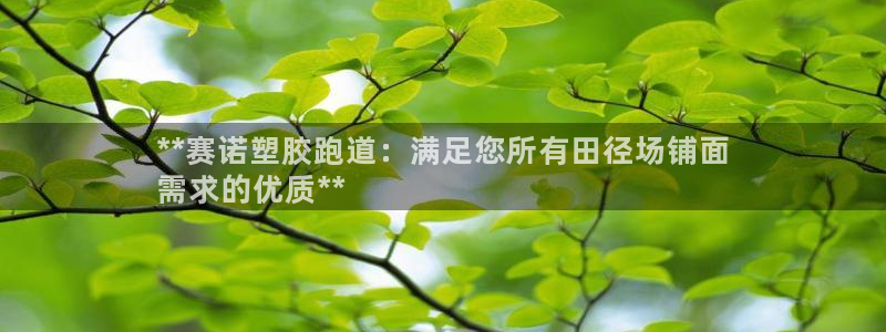 尊龙凯时干什么的：**赛诺塑胶跑道：满足您所有田径场铺面
需求的优质**