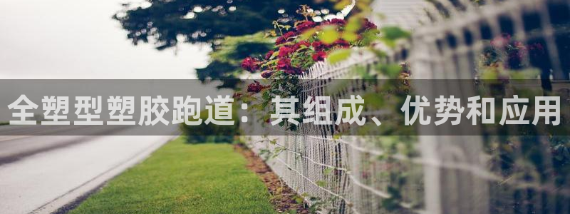 z6尊龙凯时旗舰厅：全塑型塑胶跑道：其组成、优势和应