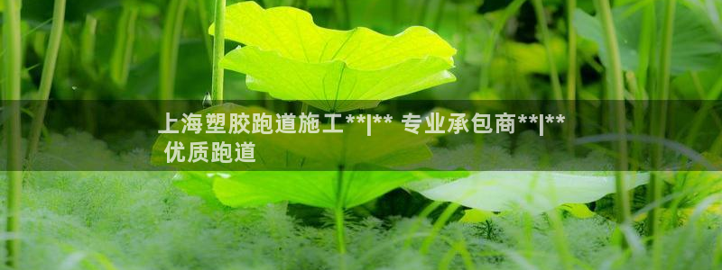 尊龙实业有限公司：上海塑胶跑道施工**|** 专业承包商**|**
 优质跑道