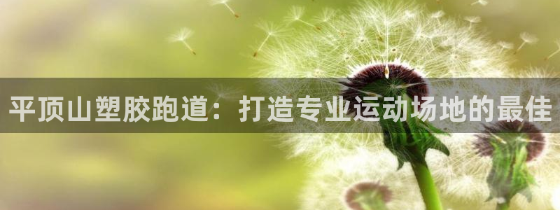 尊龙凯时-人生就是博中国官网首页：平顶山塑胶跑道：打造专业运动场地的最佳