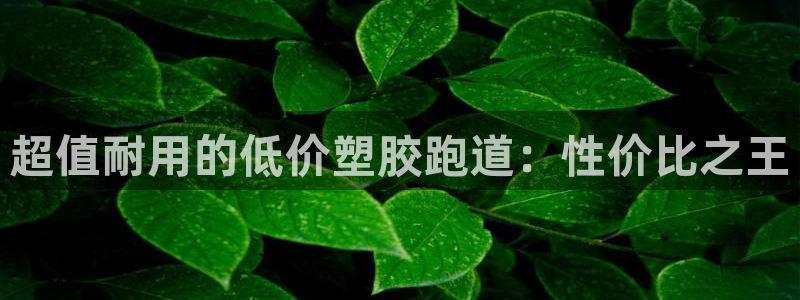 尊龙凯时平台还是万博好：超值耐用的低价塑胶跑道：性价比之王