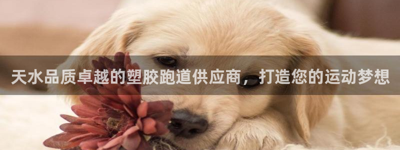 尊龙凯时人生就博官网登录：天水品质卓越的塑胶跑道供应