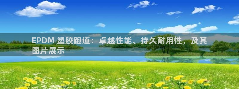 Z6尊龙凯时登录：EPDM 塑胶跑道：卓越性能、持久耐用性，及其
图片展示