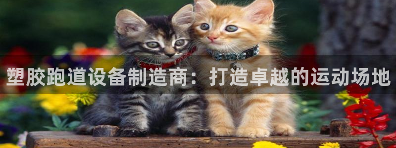 尊龙尊龙：塑胶跑道设备制造商：打造卓越的运动场地