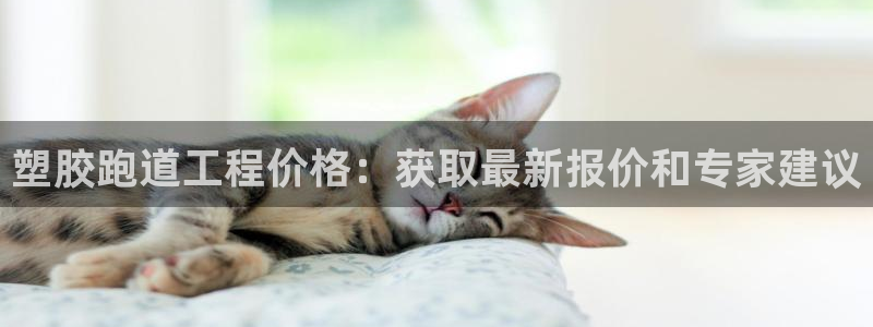 z6尊龙凯时官方：塑胶跑道工程价格：获取最新报价和专