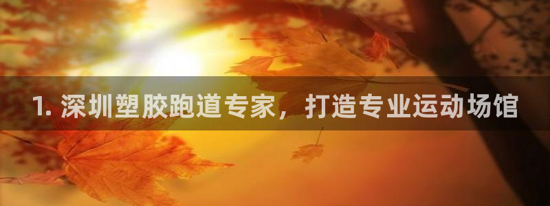 尊龙人生就是博中国区：1. 深圳塑胶跑道专家，打造专业运动场